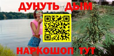 прущие грибы Краснознаменск