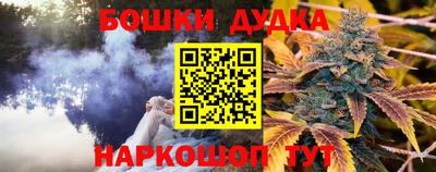 прущие грибы Краснознаменск