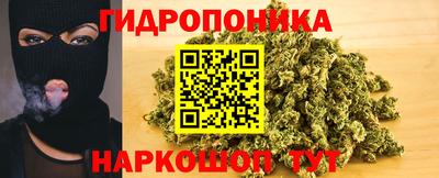прущие грибы Краснознаменск