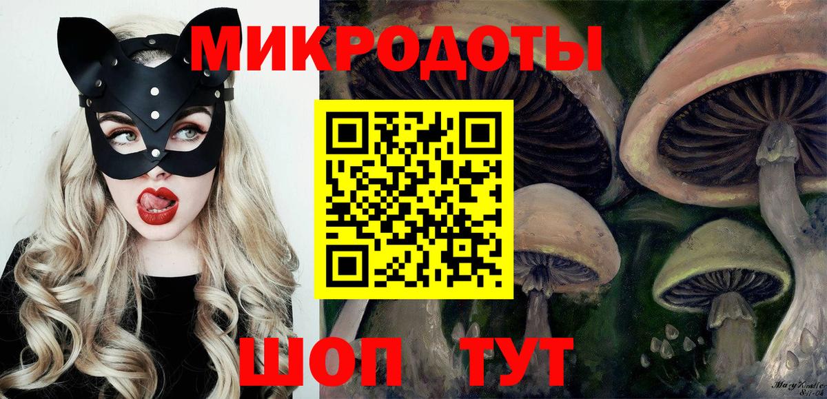 Галлюциногенные грибы Psilocybe Ликино-Дулёво